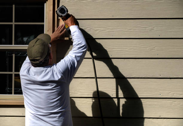 Best Storm Damage Siding Repair  in Colchester, IL