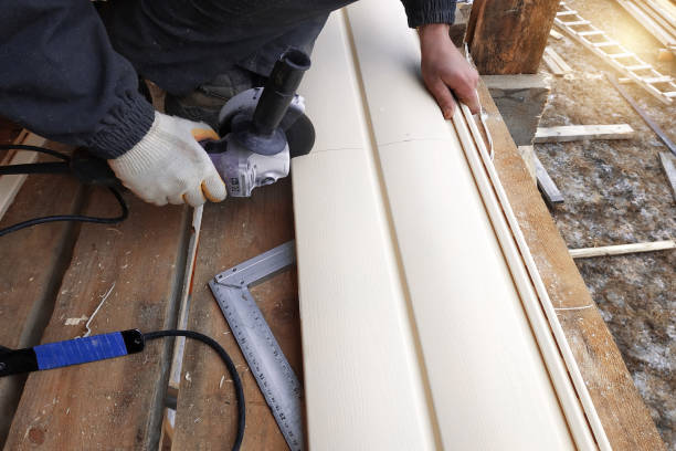Best Steel Siding Installation  in Colchester, IL