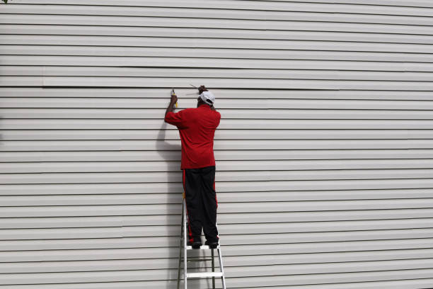 Professional Siding in Colchester, IL