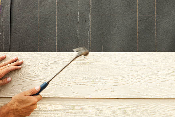 Best Brick Veneer Siding  in Colchester, IL